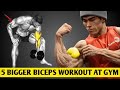 Best Biceps Forearms Workout For Bigger Arms Complete Arm Training Guide