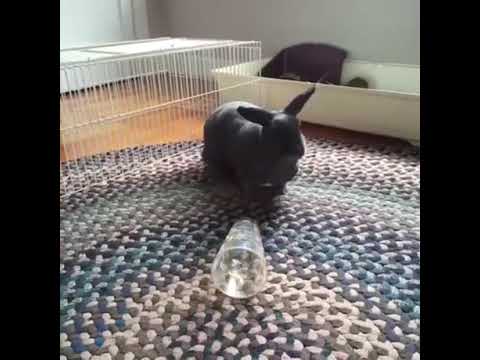 DISRESPECT YOUR SURROUNDINGS - YouTube