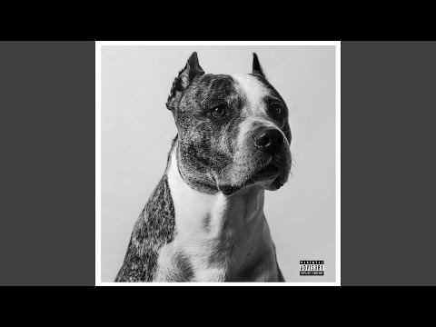 Refraneros (con Sokez)