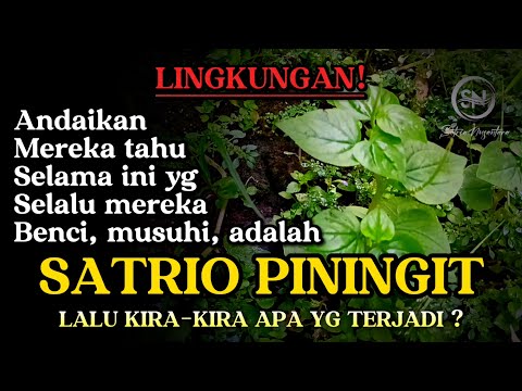 SATRIO PININGIT dan lingkungan yang tidak bersahabat