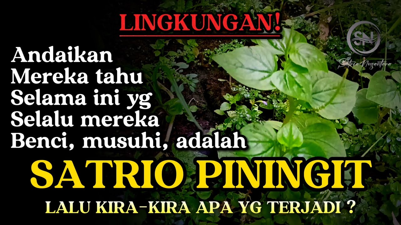 SATRIO PININGIT dan lingkungan yang tidak bersahabat