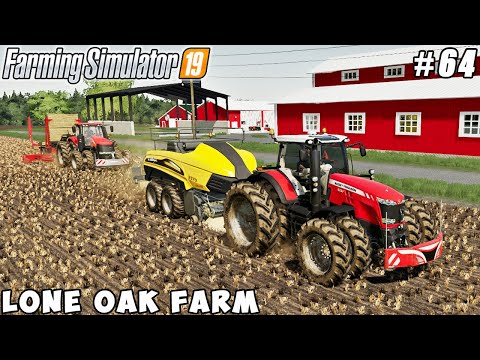 Baling straw, picking up bales, animal care | Lone Oak Farm | Farming simulator 19 | Timelapse #64