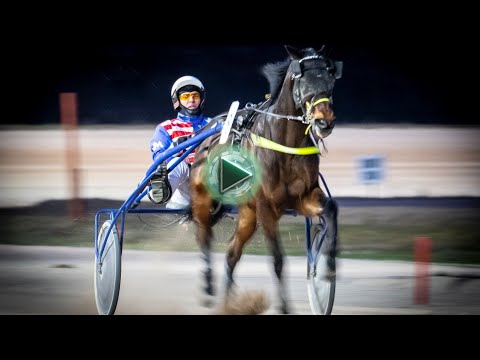 2026-ban újabb évfordulóra készül a Kincsem Park