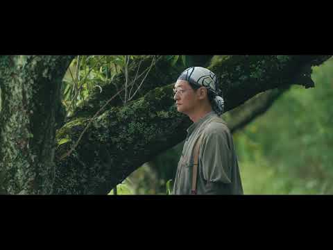 BIFF2023 Trailer l 1923년 9월  SEPTEMBER 1923 l 뉴 커런츠