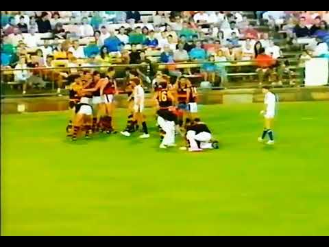 Romano Negri BIG HIT AFL Fight/Melee Adelaide Crows