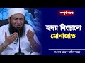 হৃদয় নিংড়ানো মোনাজাত | Mawlana Tariq Jamil | New Bangla 2023 | Hussain 4710