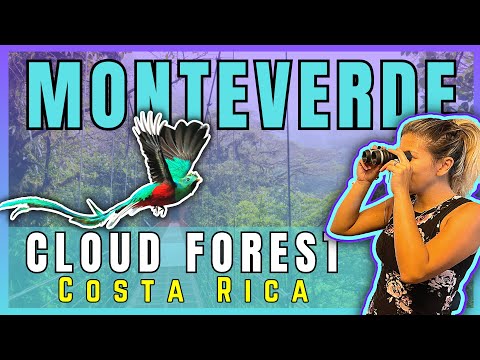 MONTEVERDE CLOUD FOREST - TOP 5 things to know before you go - COSTA RICA 🇨🇷