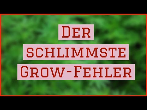 , title : 'Der schlimmste GROW-FEHLER'