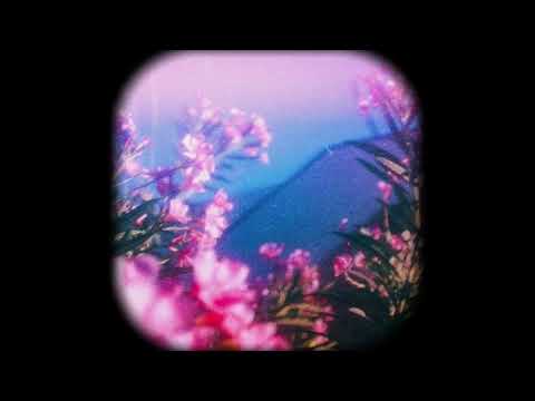 [FREE] Savage Toddy x Luv resval x Rap US Type Beat - "FLOWER" (prod. duhJO)