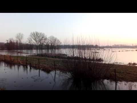 BOURGOYEN GENT 26 JAN 2017