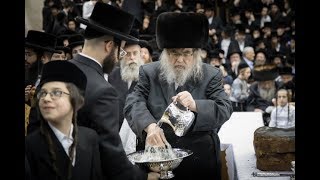 טיש ט"ו בשבט' של האדמו"ר מבעלזא תשע"ט | Tu Bishvat Tish in Belz in Jerusaelm, Israel