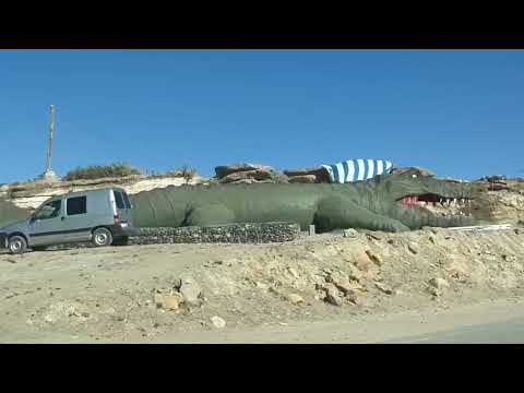 BUTA RANQUIL, Ruta 40, Norte de Neuquén, Patagonía Argentina 