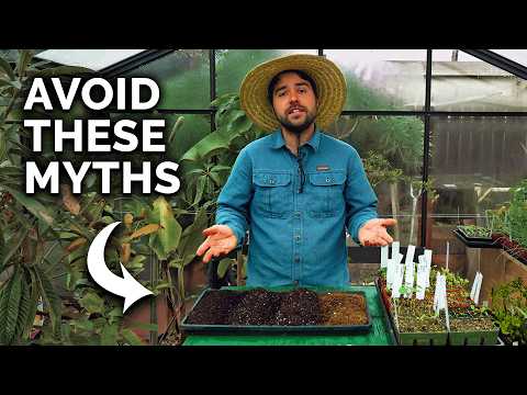 How to Transplant Seedlings My High Density Method