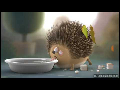 Rollin'Wild:Hedgehog