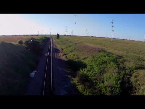 06 12 19 SERIOUSLY? BIRDS!