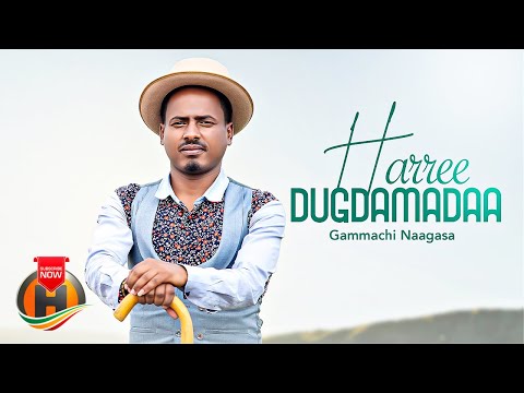Gammachis Naggasa - Harree Dugda Madaa - New Ethiopian Music 2023 (Official Video)