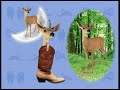 Elmo S World Wild Animals Quiz