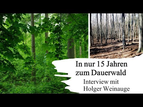 Dauerwald in nur 15 Jahren - Interview mit Holger Weinauge