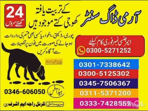 Army Dog Center Attock Fatehjung Pindigheb Talagang Chakwal Chakri Sargodha Khushab Sahiwal Gojra