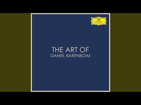 Schubert: Piano Sonata No. 19 in C minor, D.958: IV. Allegro