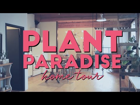 ESCAPE INTO THIS PLANT PARADISE | House Plant Home Tour