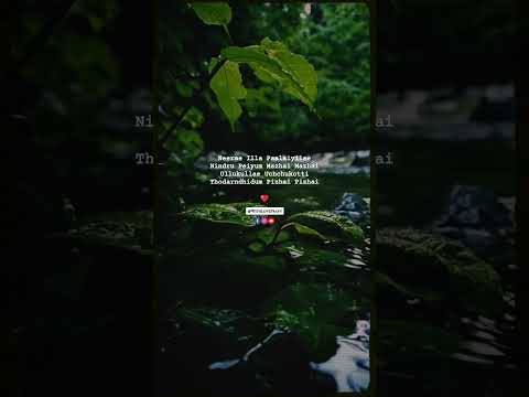 Karu Karu Vizhigalal | Pachaikili Muthucharam | Harris Jayaraj | Krish | With Love Pravy | Vibe