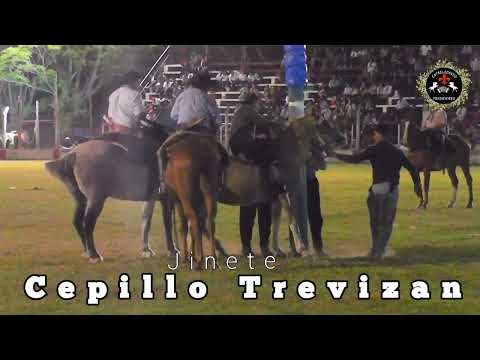 El jinete CEPILLO TREVIZAN protagonizó una de las montas especiales en 🇦🇷LA ACADEMIA,Gral Galarza 🇦🇷