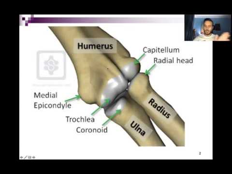 OrthoTips - #12 Elbow & Wrist Disorders