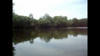 preview picture of video 'Introduction to Kingfisher Lake'