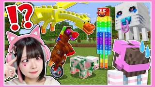 あれ？このマイクラ何か変……🤑👽🤯❓【マインクラフト / Minecraft】【たまちゃん】