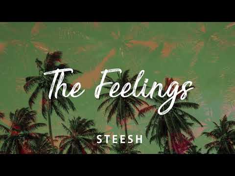 [NO COPYRIGHT MUSIC] STEESH - The Feelings (Chill Hop, Lofi, Hip Hop)