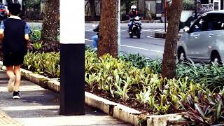 Dan Bandung  - The Panasdalam Bank feat Danilla Riyadi  (UnOfficial Music Video)