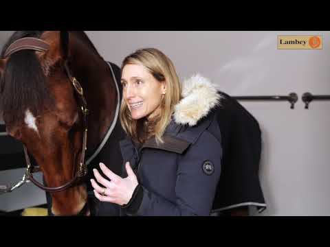 EPISODE 2 – Mark, Charlotte McAuley et Jasco Vd Bisschop