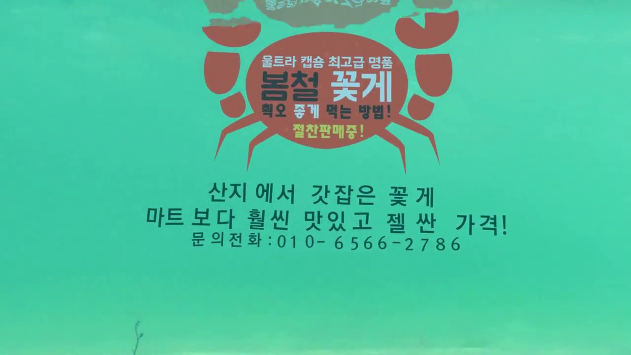 [기업 영상]
