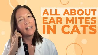 Ear Mites in Cats: Causes, Symptoms, & Treatment