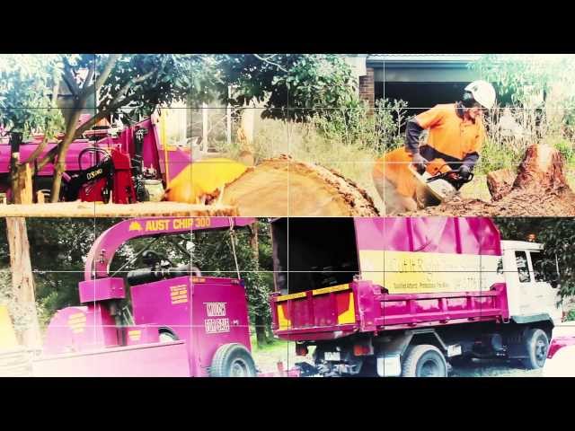 Cut It Right Tree Service - Mornington, VIC