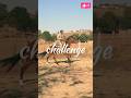 Good Horse Riding Position Human Horse Riding Challenge
