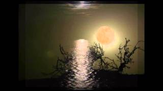 Juliane Werding   Vollmondnacht