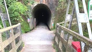 New Zealand's Hidden Treasure: Hike a historic mining site near Auckland