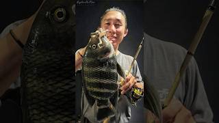 Download lagu Suka sekali memancing dengan umpan plastik lunak berekor keriting kecil ini! #memancing #ikan #ke... mp3