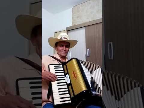 Wilsinho o fera da sanfona recordando Voninho