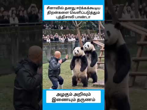 இவற்றை ஐந்து அறிவு மிருகங்கள் என்று யார் சொன்னது #shorts