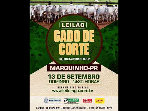 LEILÃO ESPECIAL GADO DE CORTE - MARQUINHO/PR.