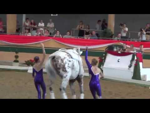 Junioren-WM Ebreichsdorf 2017 - 2nd Freestyle - Switzerland