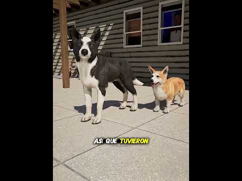 Cuando el Miedo es Grande, la Amistad es Más Fuerte#shortsvideo #shortsvideo #viralvideo