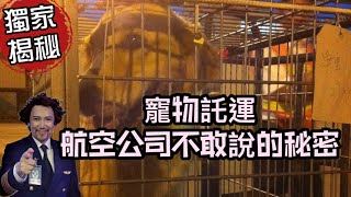 [問卦] 馬來貘到桃機倉儲才發現死了484很瞎？