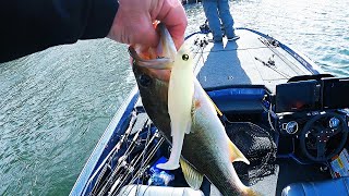 Winter Bass Fishing in HOT Water (Nuclear Power Plant Lake)