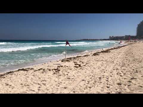 Óleo Cancun Playa Beach and swimmable areas