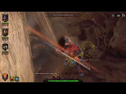 The Vermintide 2 Playerbase