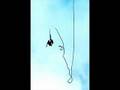 the summer obsession - free falling 
